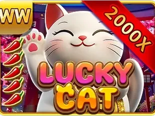 Lucky Cat
